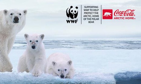 campañas de marketing social