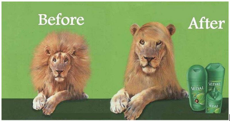 ejemplo del humor en anuncios publicitarios