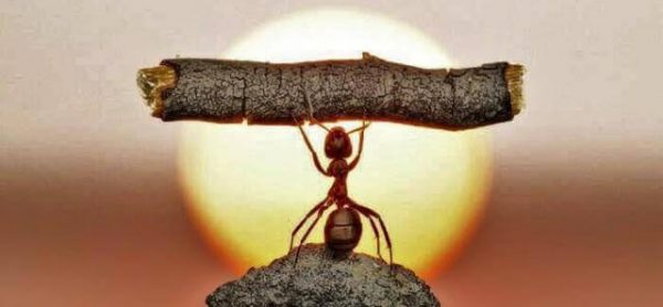 mentalidad millonaria