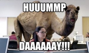 hump day