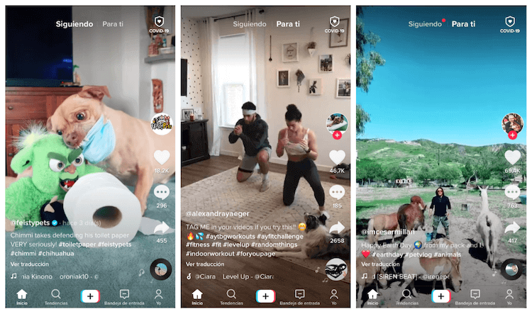 como funciona la publicidad de tiktok