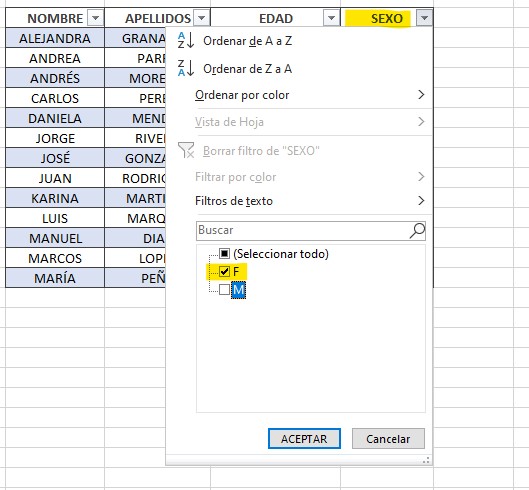curso básico de excel
