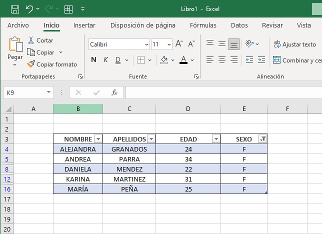curso básico de excel