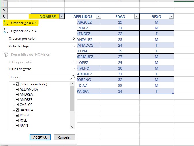 curso básico de excel