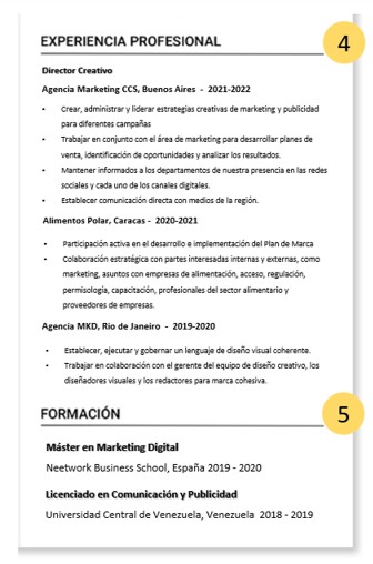 Cómo crear un Curriculum Vitae